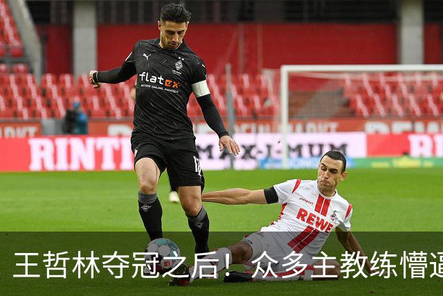 王哲林夺冠之后！众多主教练懵逼，就这个数据跟胡金秋差远了